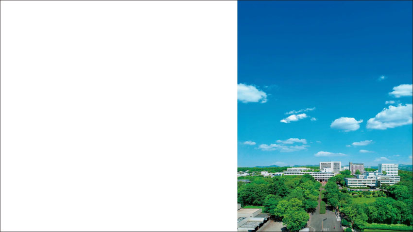 スライドデザイン1